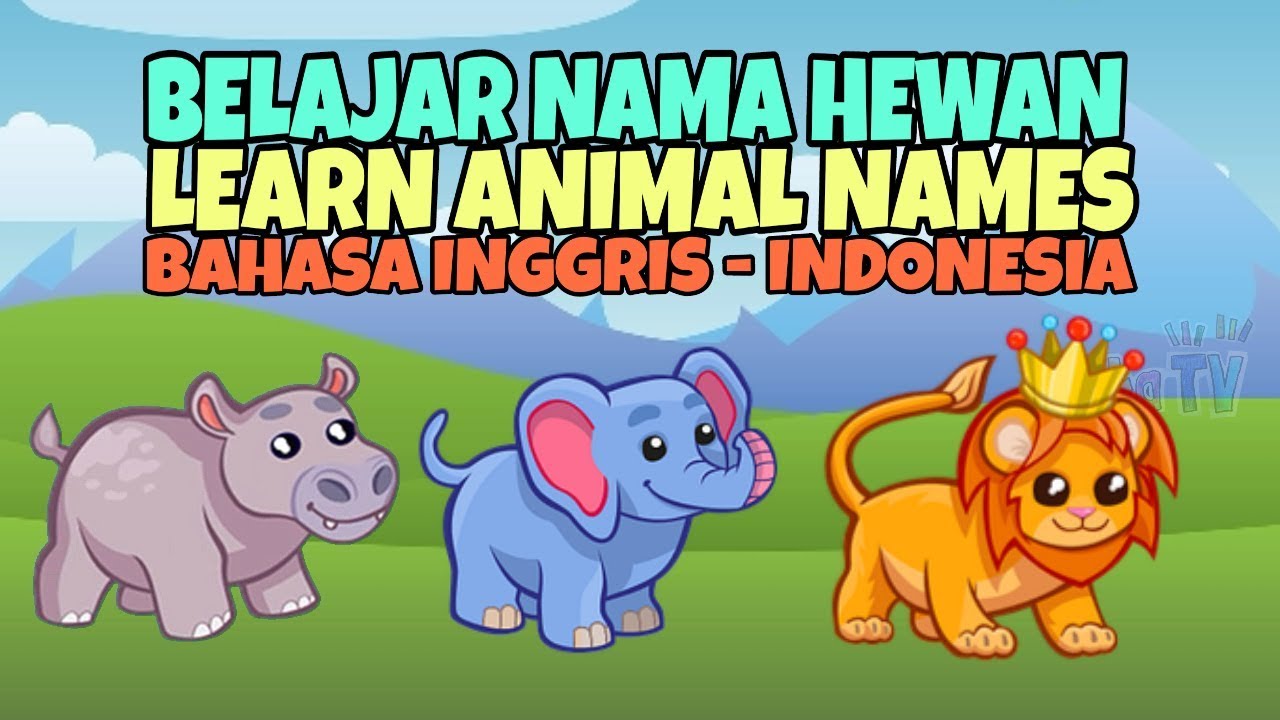 Belajar Nama Hewan  Kartun  Animasi dalam Bahasa  Inggris dan 