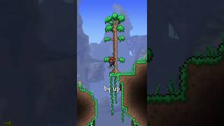 Terraria's Mana Flower is Overrated.  #terraria
