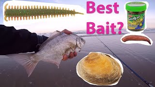 Oregon Coast Surf Fishing - Which Bait Work Best