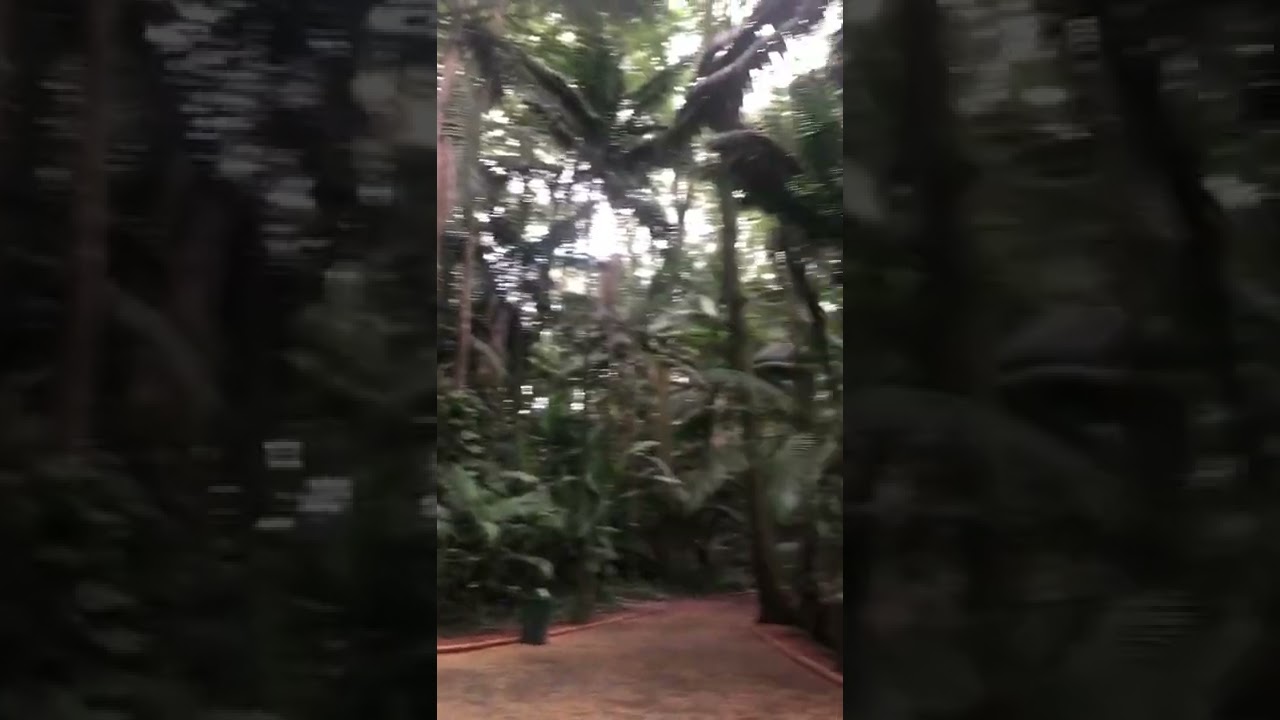 Lugar lindo, passeio que vale muito! Fundação Oscar Americano