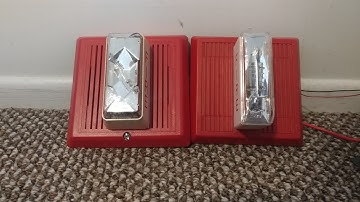 edwards integrity vs wheelock mt on continuous fire alarm test