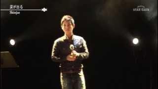 涙が出る/Shinjae