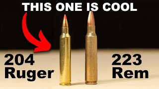 Is The 204 Ruger Cool? YES! Season 2: Episode 53
