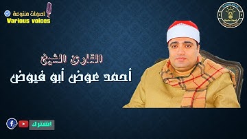 القارئ الشيخ احمد عوض ابو فيوض ما هذا الجمال