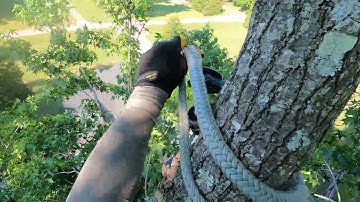 The Petzl Zigzag Setup |Tree Climbing Minimalism [Read the commentsection]