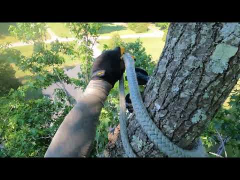 The Petzl Zigzag Setup |Tree Climbing Minimalism [Read the commentsection]