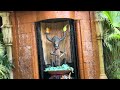 Tiki room line, Disney World