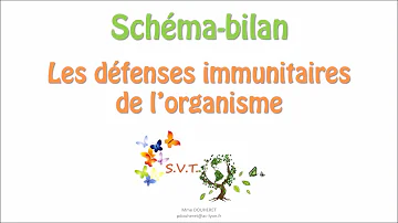 Pourquoi Réalise-t-on des actions préventives de destruction des Micro-organismes ?