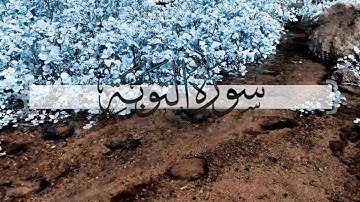 { سورة التوبة } | ماجد العنزي .