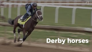 2024 Kentucky Derby contenders: Trainers for Fierceness, West Saratoga and Sierra Leone on horses