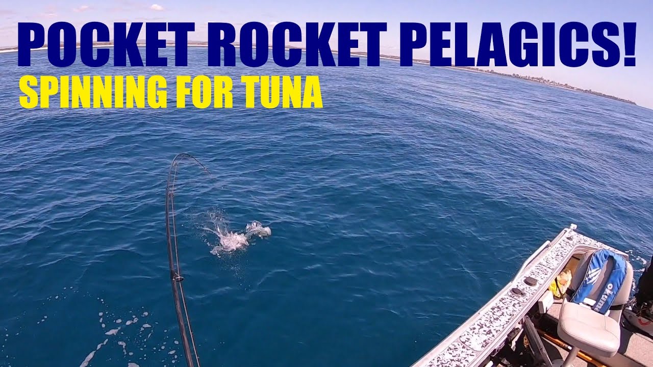 Pocket Rocket Pelagics - Spinning for Mac Tuna with Sean Bekkers 