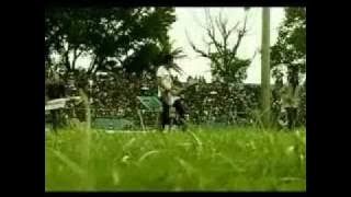 Feedizz Aremania & Lagu Arema Voice Singa Bola