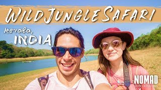 Elephant ATTACK! Wildlife Jungle Safari Tour India | Kerala Travel Vlog