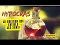 Hypocras  la boisson mdivale qui veille les sens 