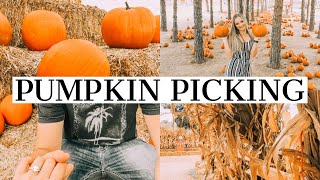 PICKING THE CUTEST PUMPKINS | FALL FUN