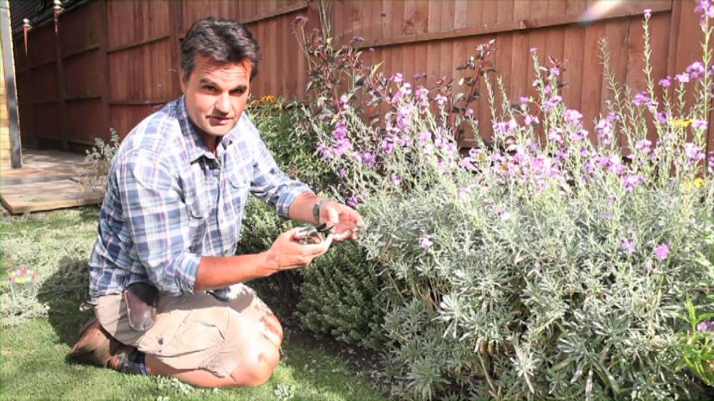 How To Maintain Your Garden on a Roll in Summer