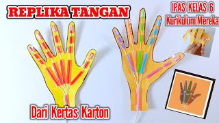Membuat Replika Tangan / Alat Peraga Sistem Gerak / Tugas IPAS kelas 6