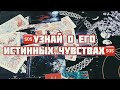 УЗНАЙ О ЕГО ИСТИННЫХ ЧУВСТВАХ К ТЕБЕ - ТАРО ОНЛАЙН ГАДАНИЕ