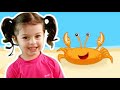 Caranguejo Peixe é Roda Roda Roda Música Infantil Mimi Julinha