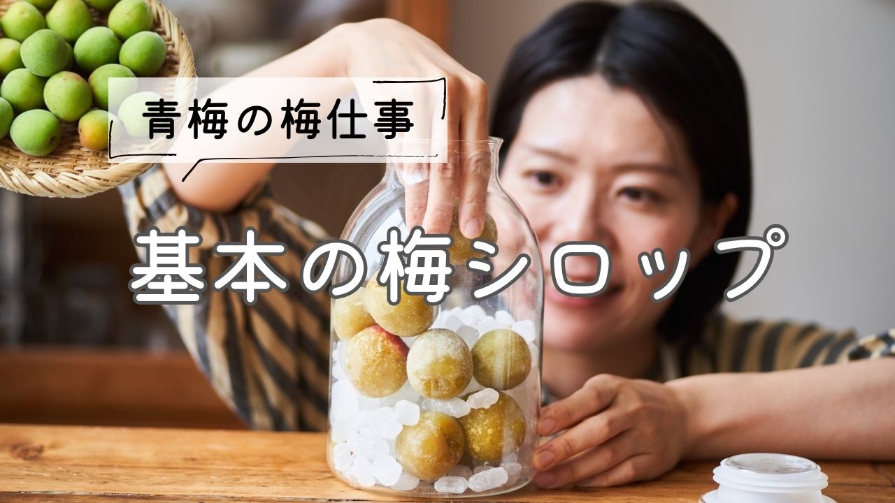 Making Plum Syrup] Basic Recipe and How to Make Plum Syrup with