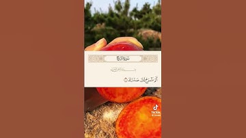 احترم القرآن يا صديقي وانشره فالدال على الخير كفاعله #احترم_القرآن #احترم #انشرو_القران #آيات #لايك