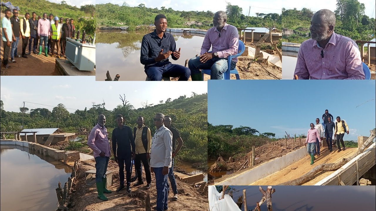 FINIE L'OBSCURITÉ À DEMBA JEAN BONHEUR KONGOLO PANDE ÉCLAIRE LE TERRITOIRE (ÉMISSION)