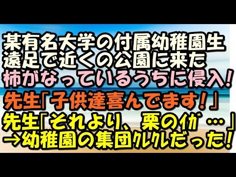 スカッとする話　集団クレクレ　某有幼稚園の遠足が我が家の庭に乱入！柿を落とし始めた　注意すると　先生「子供たち喜んでますから！」→後日…　スカッとＬｉｖｅ！！