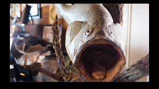 Outdoor Freedom Network | Short Film 2020