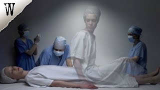 Do TRANSPLANTED ORGANS HOLD MEMORIES 3 Cases That Will Open Your Mind