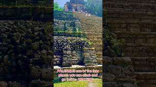 PALENQUE Chiapas you can climb and get inside the Pyramids AMAZING #mexico #vacation #travel