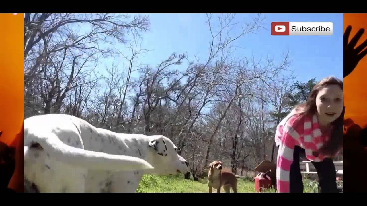 AFV 2016 Funny Home Videos and Funniest Videos P.9