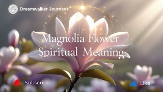 Spiritual Meaning of Magnolia Flower | Purity, Strength, Femininity & Divine Grace