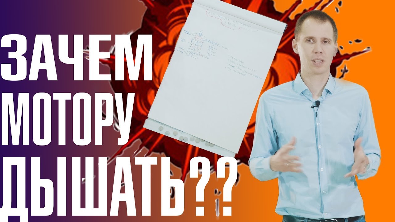 Почему сальник называют сальником Почему сальник называют сальником