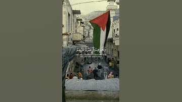 ماهر المعيقلي_سورة التوبة🌿 #قرآن #trending #قران_كريم #فلسطين #palestine #freepalestine #غزة #foryou
