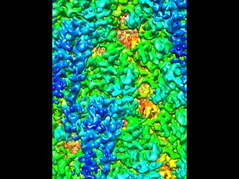 Type VI Secretion