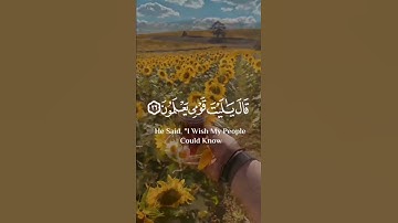 حالات واتس اب قرآن|القارئ شريف مصطفى