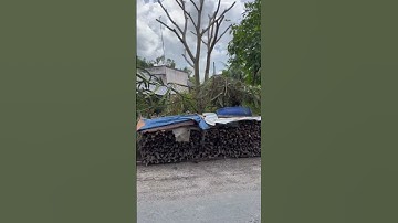 T42_ BÁN ĐẤT NỀN THỔ CƯ – MẶT TIỀN ĐƯỜNG NHỰA – GIÁ TỐT ĐẦU TƯ #mientay #bandatgiare