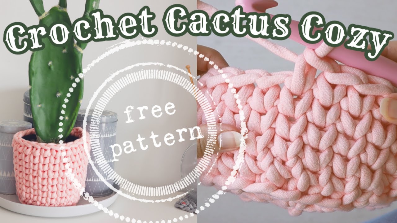 Cactus Crochet Can Cozy