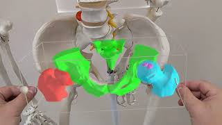 AR Surgery Training and Haptic Gloves with XR Doctor Platform