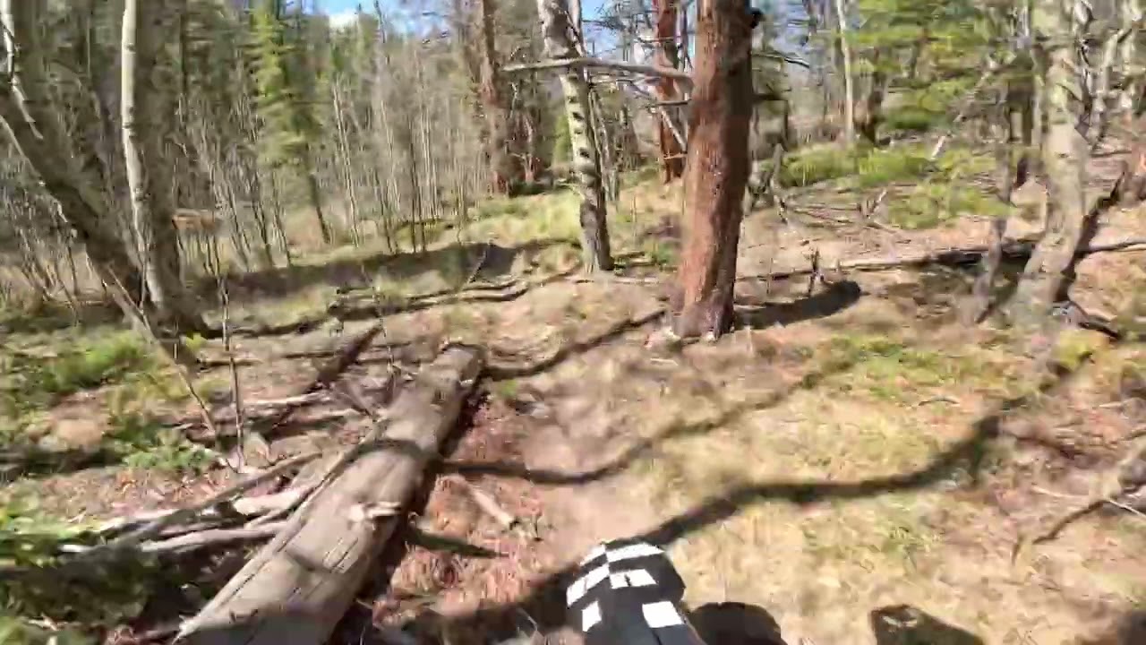 Needle Creek