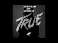 Avicii "True" Album