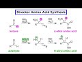 Amino Acids and Strecker Synthesis