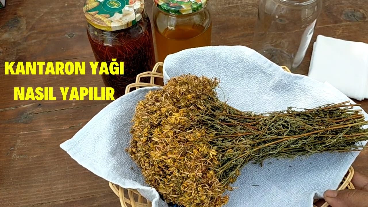 Kantaron Yağı Nasıl Yapılır/Şifalı Doğal Yağlar
