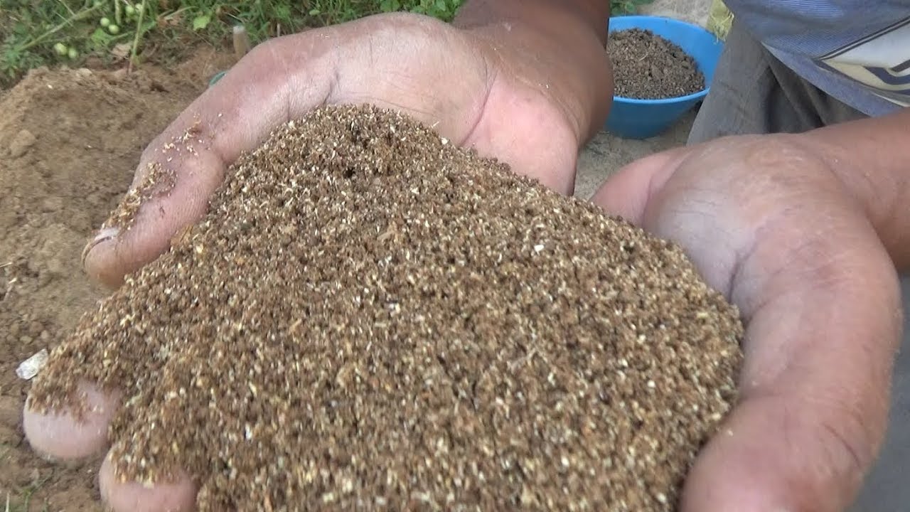 How to make multipurpose Potting soil mix (with English Subtitle) - YouTube