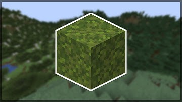 Everything you should know about MOSS BLOCKS in Minecraft 1.17