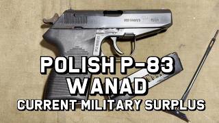 Polish P-83 Wanad - Current Cold War Military Surplus