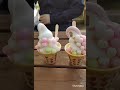 #まるころコキアソフト#美味しかった #悲劇がおきた😭😭