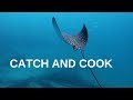 Spearfishing Catch &amp; Cook - Gold Coast VLOG 1