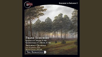 String Quintet in C Major, Op. 163, D. 956: II. Adagio