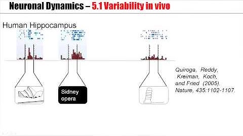 5.1 Variability of spike trains